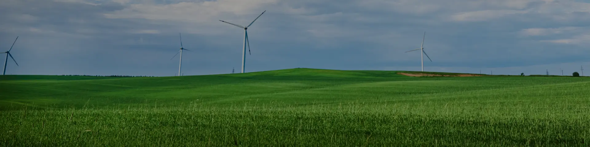 RENEX Sustainability Page Header
